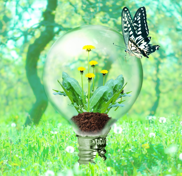 株式会社 AQUA LEAF 滋賀県産業廃棄物収集運搬処理アクアリーフ